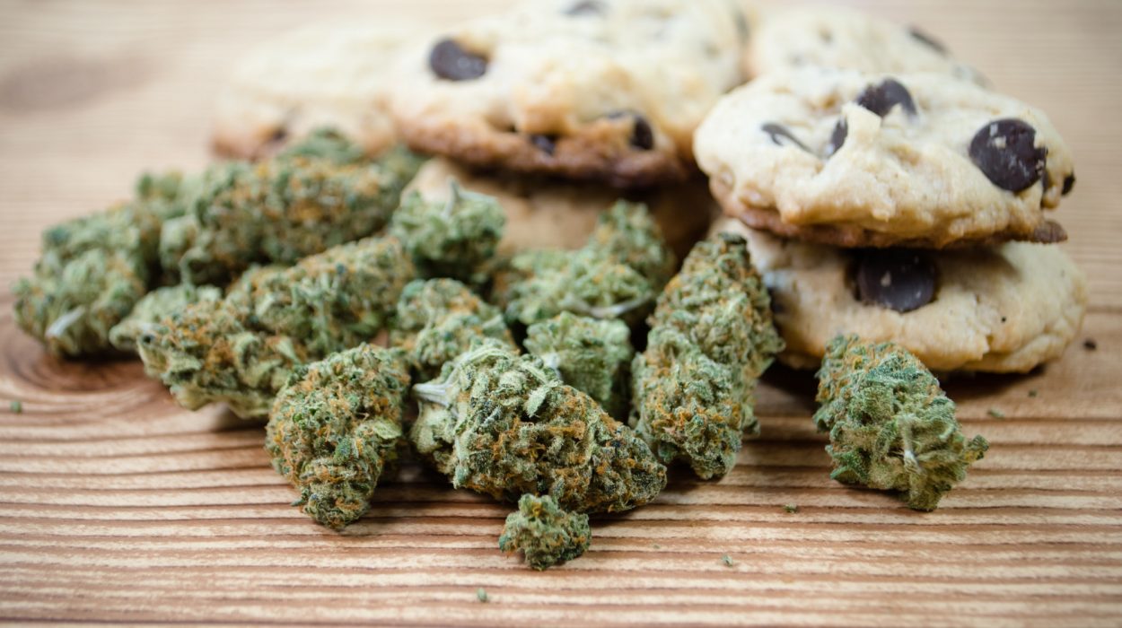 weed edibles